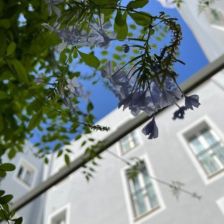 Hotel San Miguel Menorca 마혼 외부 사진